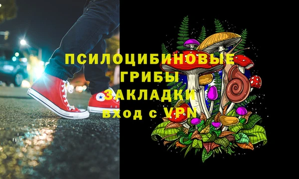 СК Арсеньев