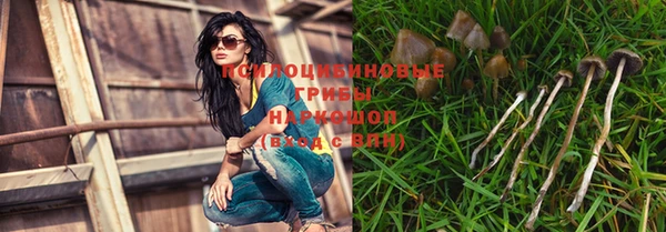 ГАЛЛЮЦИНОГЕННЫЕ ГРИБЫ Армянск