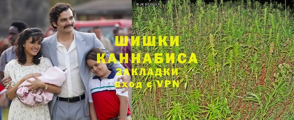 ГАЛЛЮЦИНОГЕННЫЕ ГРИБЫ Армянск
