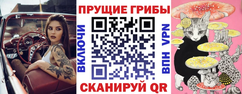 где купить наркоту  Тара  Псилоцибиновые грибы ЛСД 