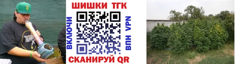 что такое наркотик  Тара  МАРИХУАНА White Widow 